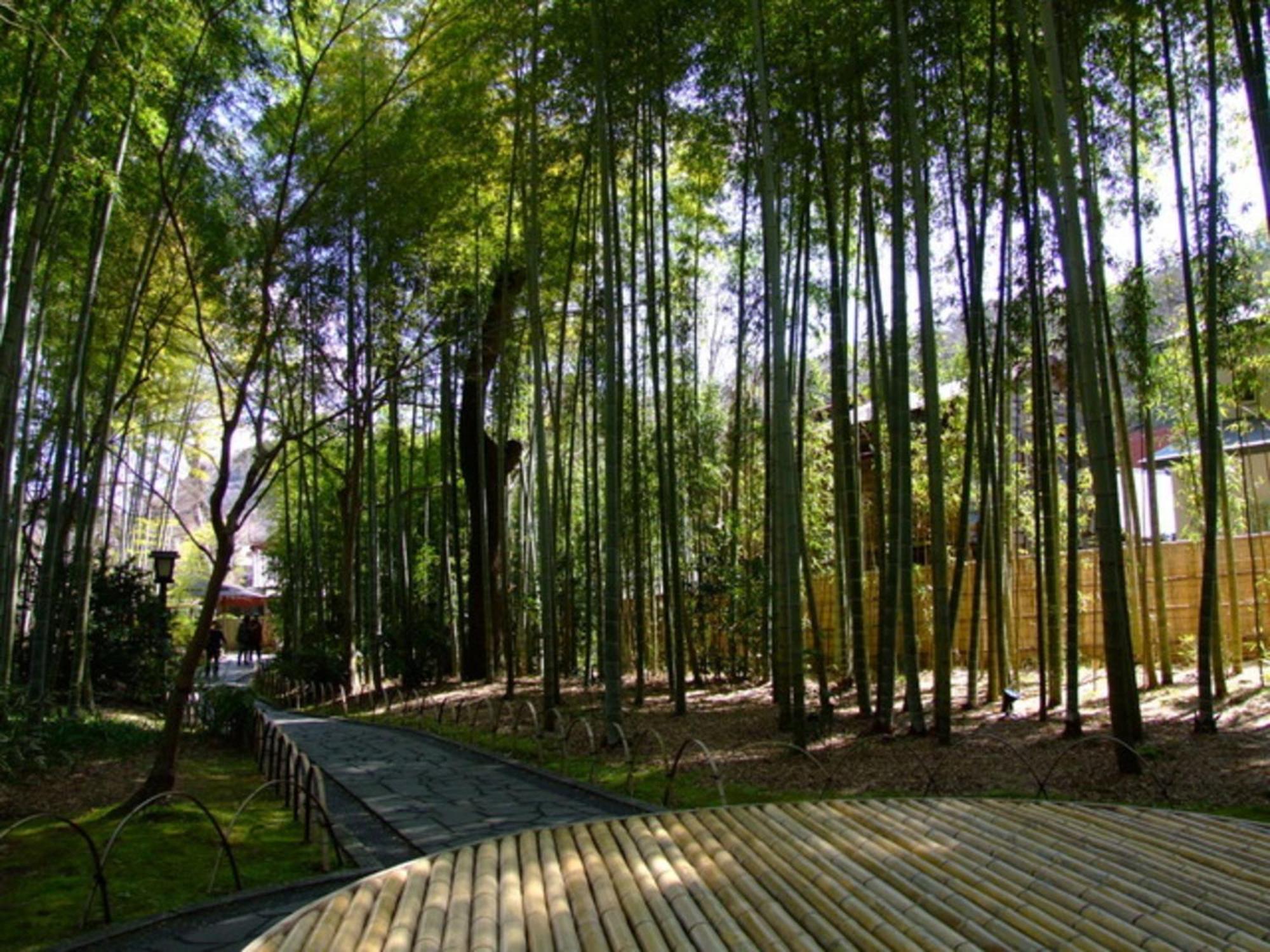 Breezbay Shuzenji Hotel Ідзу Екстер'єр фото